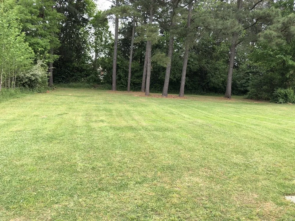 Local residential landscaping experts serving Greenwood, SC - Edge To Edge