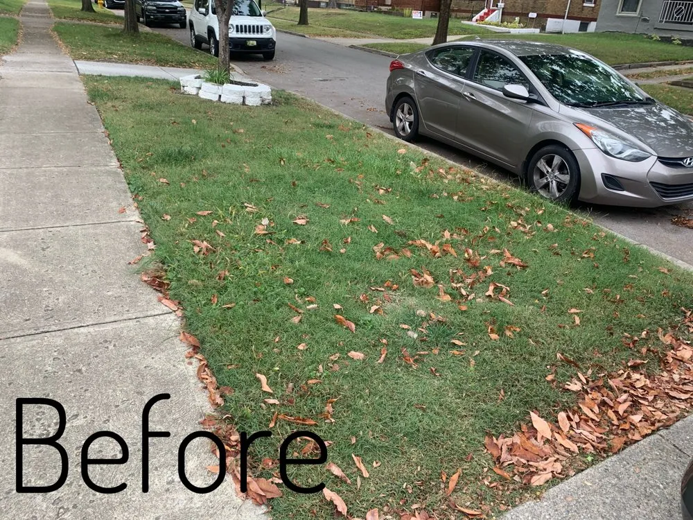 Trusted residential landscaping for homes across Cincinnati, OH - Edge To Edge Lawn Care