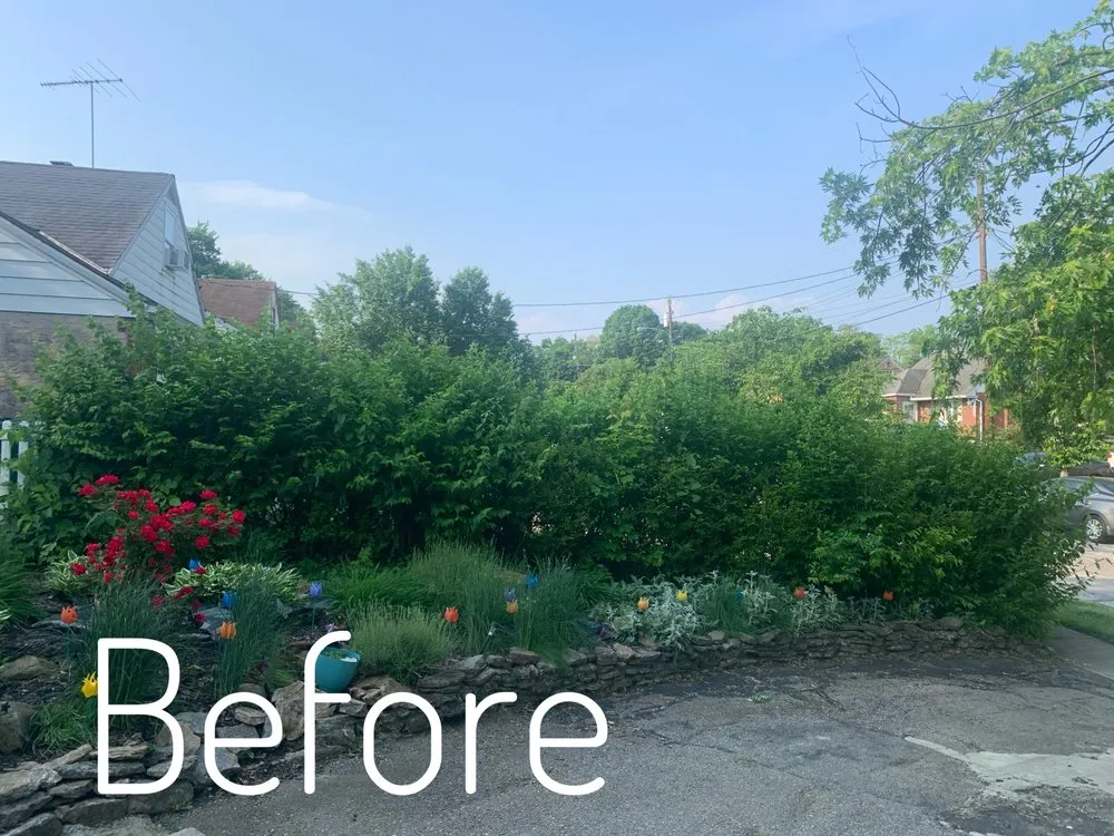 Top-rated yard maintenance experts serving Cincinnati, OH - Edge To Edge Lawn Care