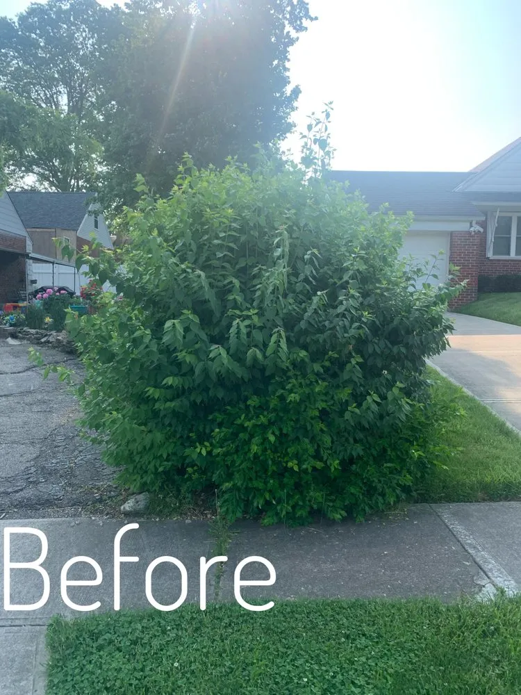 Reliable landscaping services for residential properties across Cincinnati, OH - Edge To Edge Lawn Care