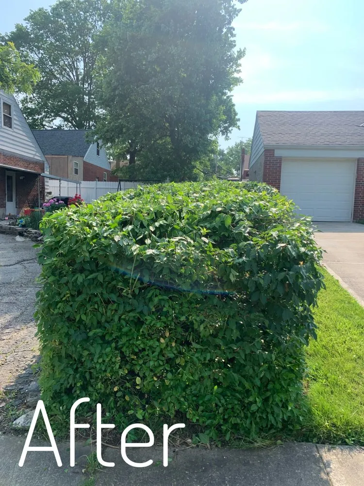 Local yard maintenance experts serving Cincinnati, OH - Edge To Edge Lawn Care