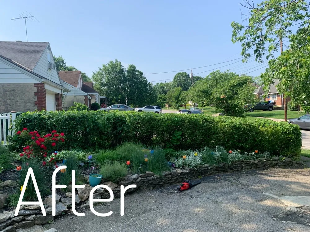 Trusted landscape design in Cincinnati, OH - Edge To Edge Lawn Care