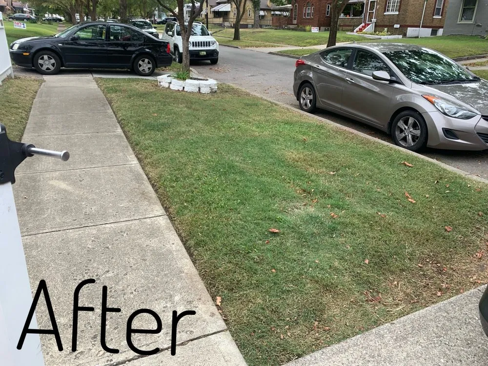 Professional yard maintenance for outdoor upgrades in Cincinnati, OH by Edge To Edge Lawn Care
