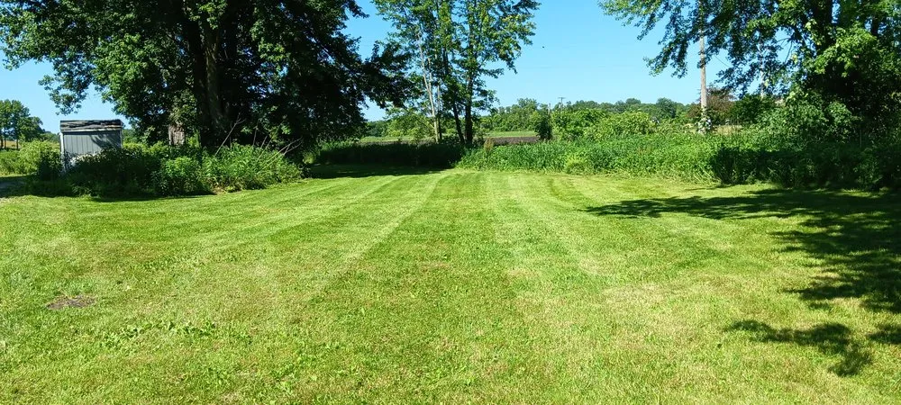 Expert yard cleanup service experts serving Byron Center, MI - Edge To Edge Services