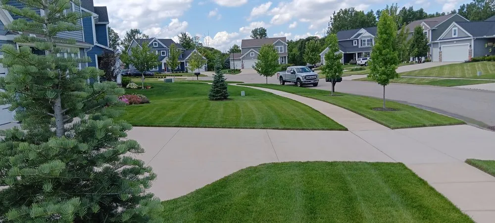 Local yard cleanup service in Byron Center, MI - Edge To Edge Services