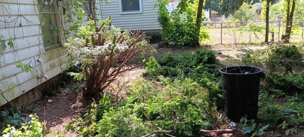 Reliable landscaping services near you in Byron Center, MI by Edge To Edge Services