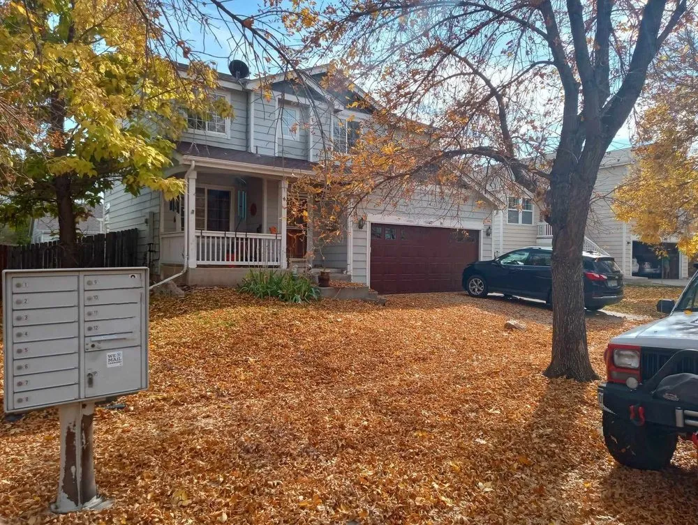 Local lawn care service in Laporte, CO - Edge to Hedge Lawn Maintenance Pros