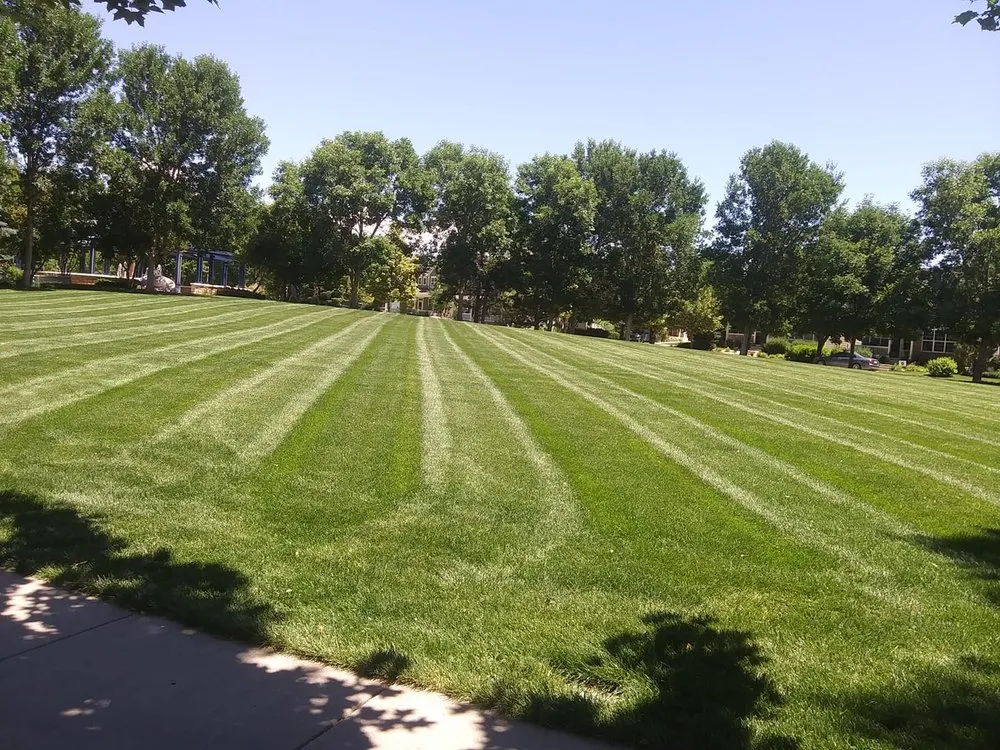 Top-rated lawn mowing service in Laporte, CO by Edge to Hedge Lawn Maintenance Pros