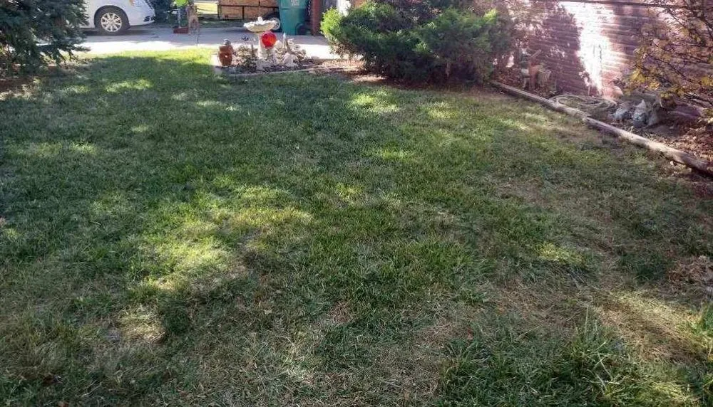 Local landscaping services in Laporte, CO - Edge to Hedge Lawn Maintenance Pros