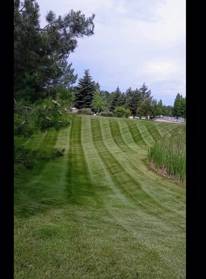 Top-rated landscaping services in Laporte, CO - Edge to Hedge Lawn Maintenance Pros