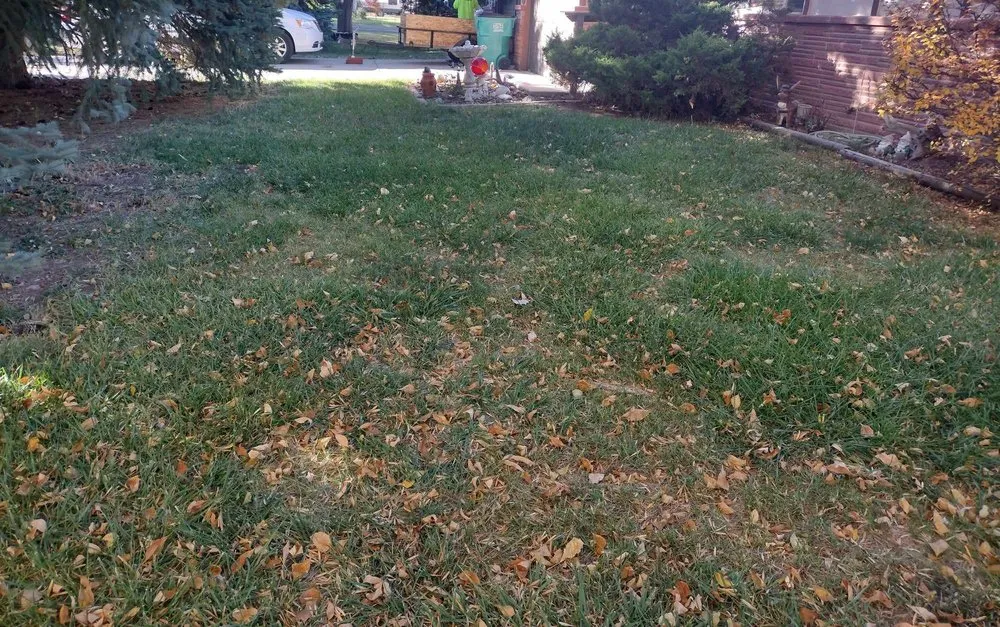 Top-rated residential landscaping for outdoor upgrades across Laporte, CO - Edge to Hedge Lawn Maintenance Pros