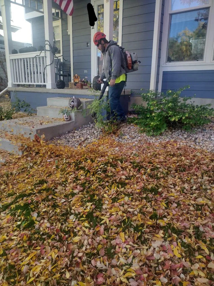 Professional landscaping services experts serving Laporte, CO - Edge to Hedge Lawn Maintenance Pros