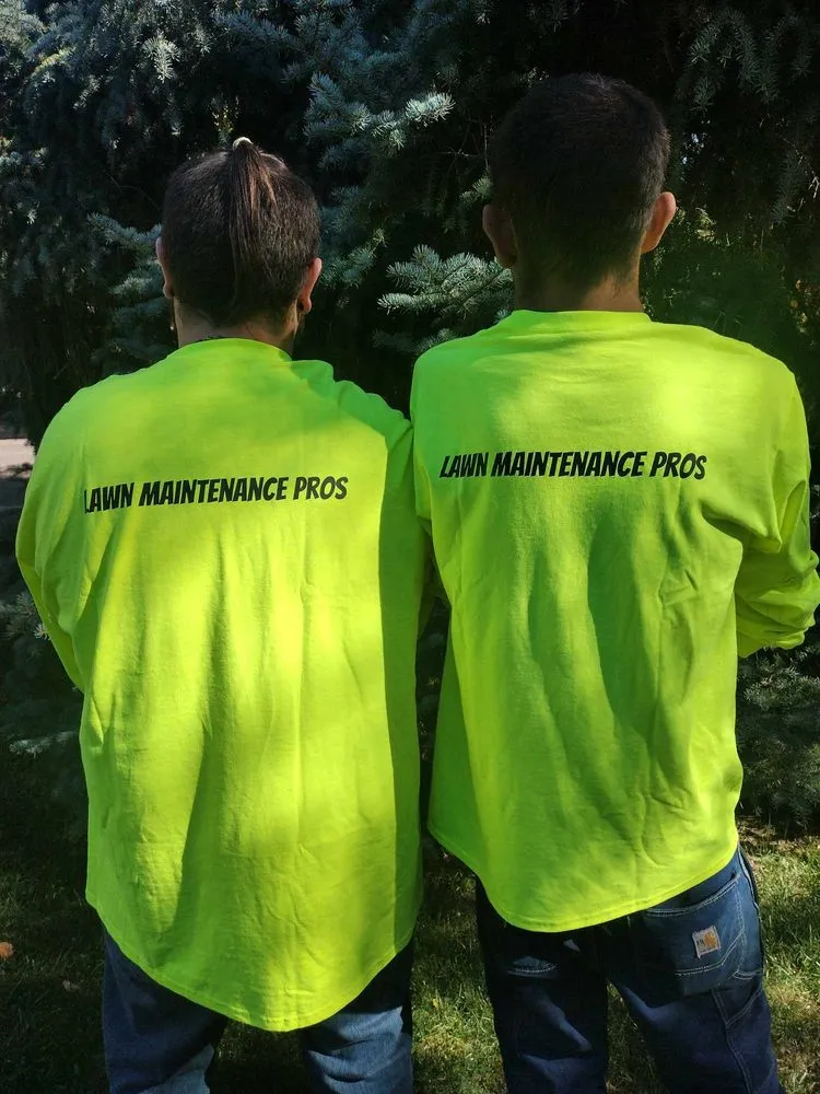 Affordable landscape design in Laporte, CO - Edge to Hedge Lawn Maintenance Pros