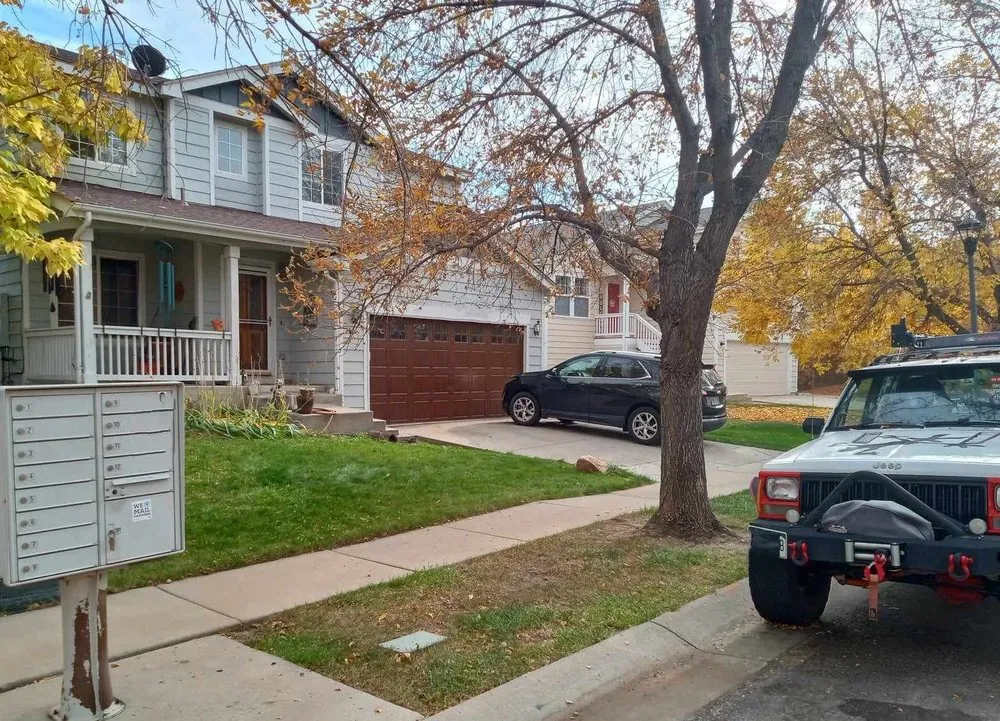 Custom yard cleanup service for year-round maintenance across Laporte, CO - Edge to Hedge Lawn Maintenance Pros