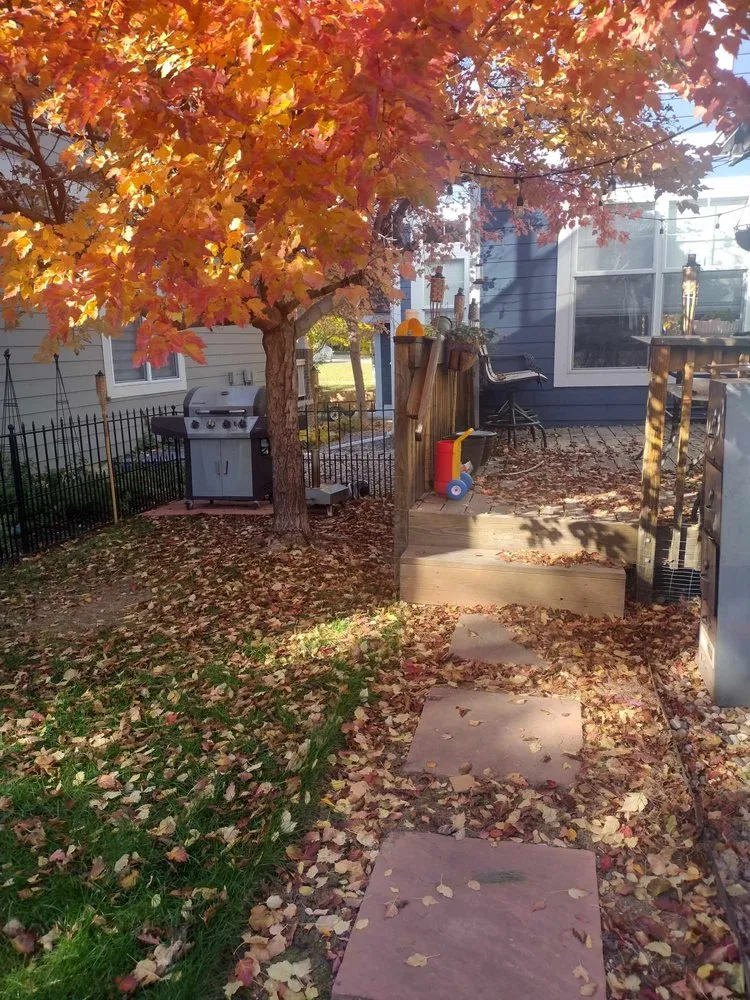 Expert landscape installation with custom design in Laporte, CO by Edge to Hedge Lawn Maintenance Pros