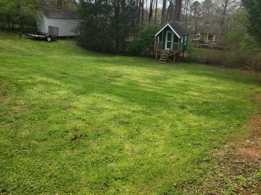 Top-rated yard cleanup service in Woodstock, GA by Edge To Hedge Lawncare