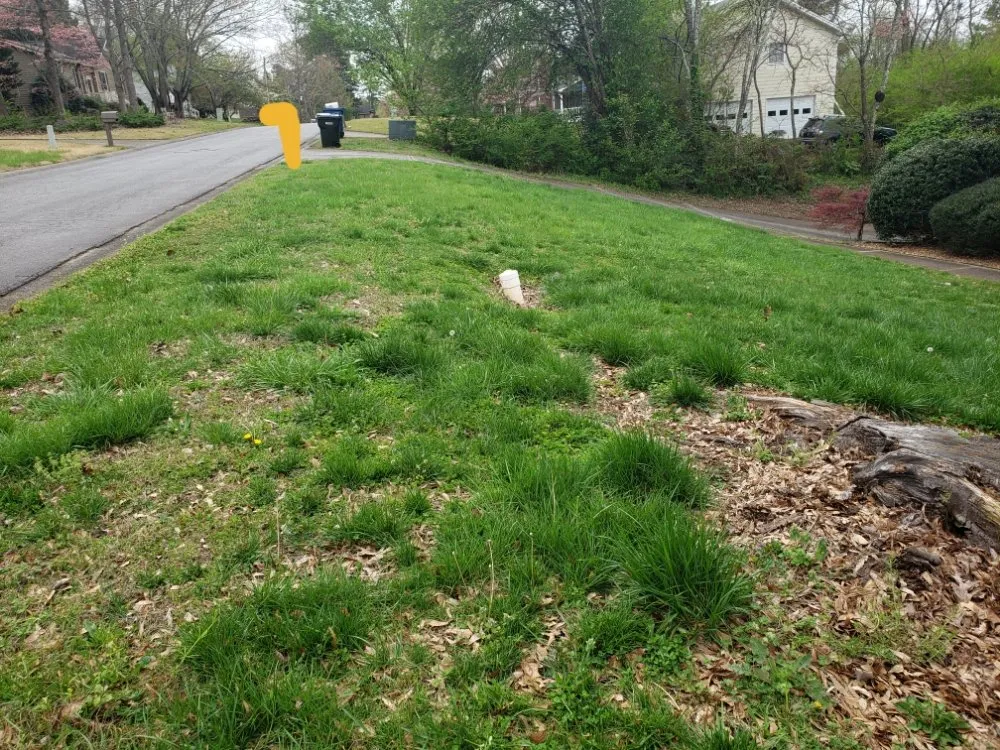 Custom lawn care service in Woodstock, GA - Edge To Hedge Lawncare