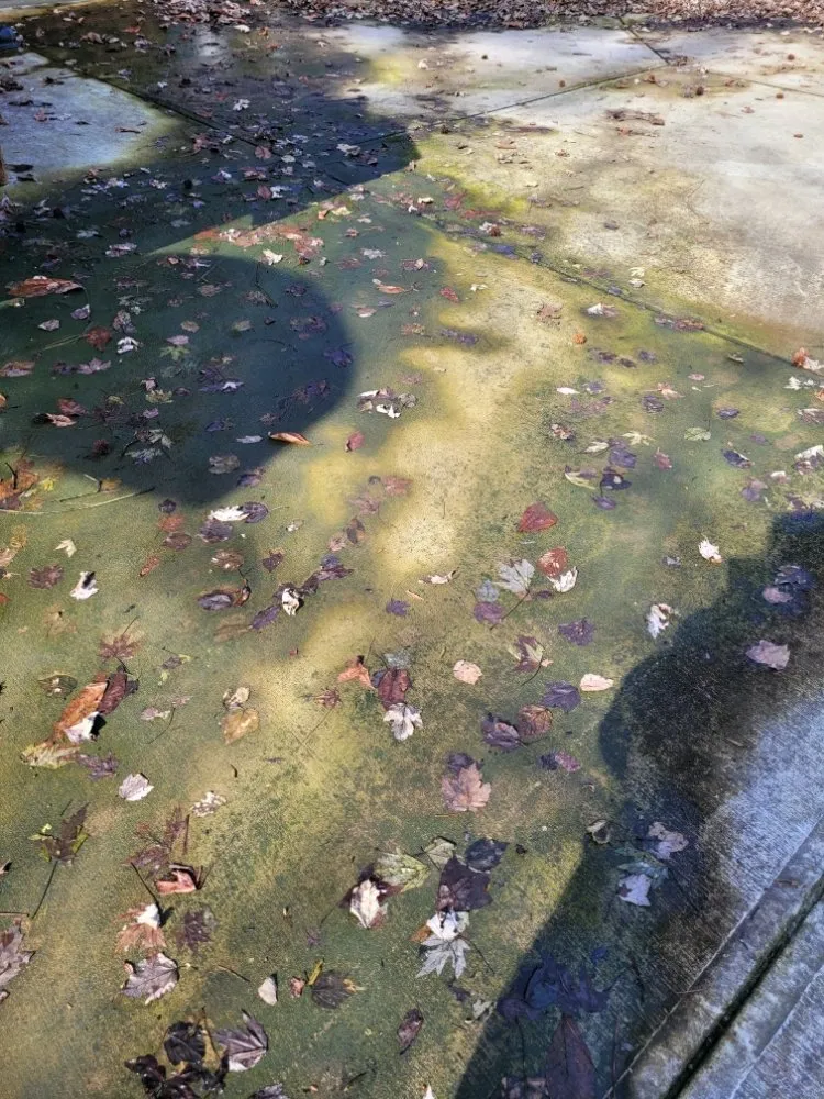 Expert yard maintenance for beautiful yards in Woodstock, GA by Edge To Hedge Lawncare