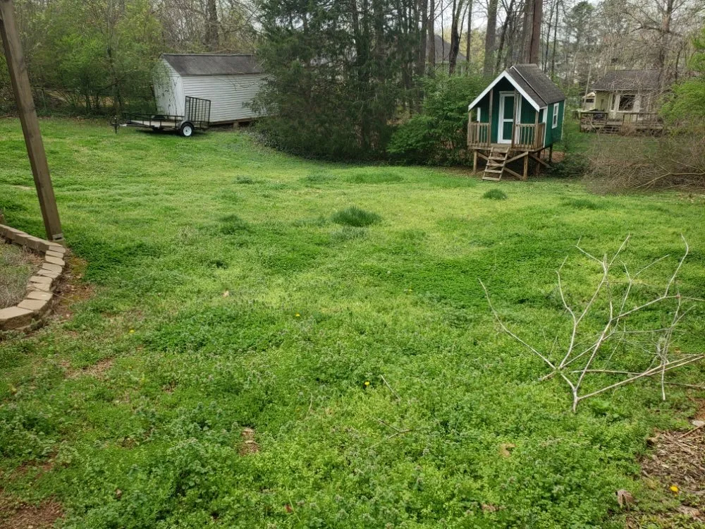 Affordable landscape design for year-round maintenance across Woodstock, GA - Edge To Hedge Lawncare