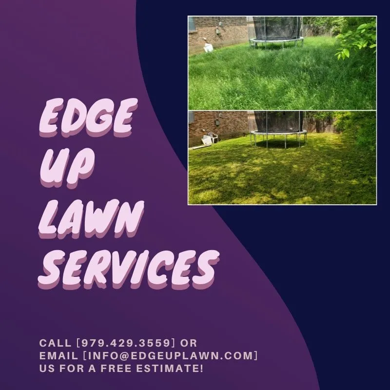 Reliable outdoor landscaping for residential properties in College Station, TX by Edge Up Lawn Services