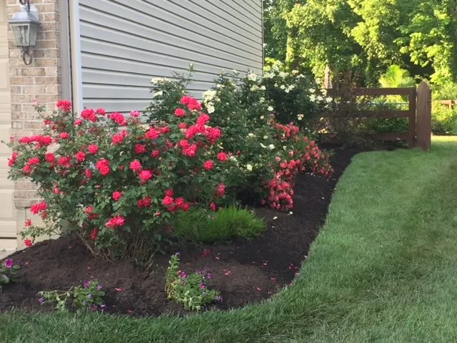 Custom lawn care service in Batavia, OH - Edge2Edge Lawn Solutions