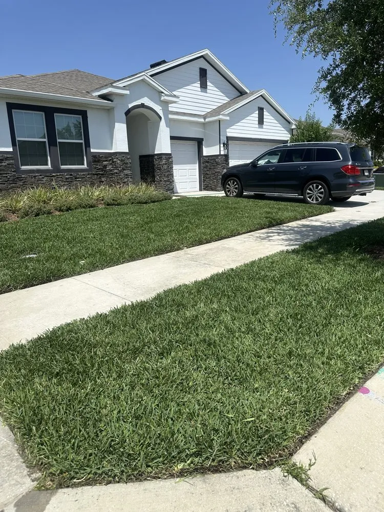 Professional yard maintenance for outdoor upgrades in Zephyrhills, FL by Edgeline property maintenance
