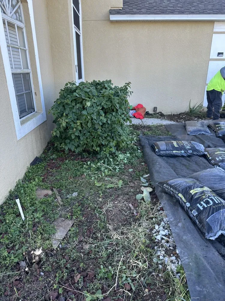 Expert lawn mowing service experts serving Zephyrhills, FL - Edgeline property maintenance