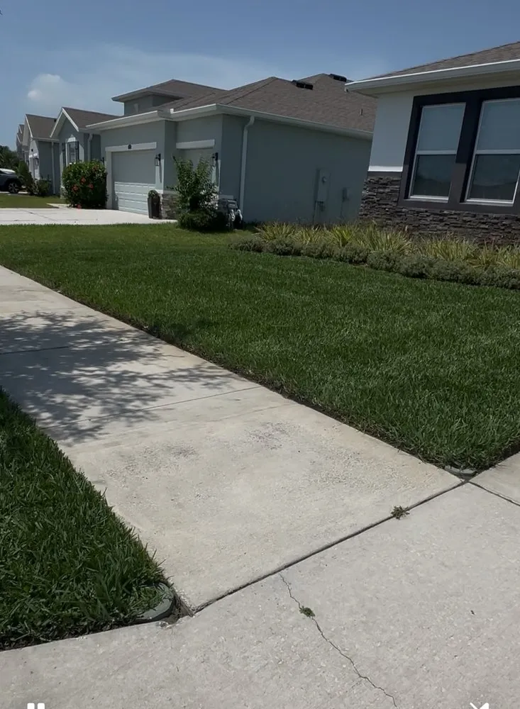 Trusted landscape installation experts serving Zephyrhills, FL - Edgeline property maintenance