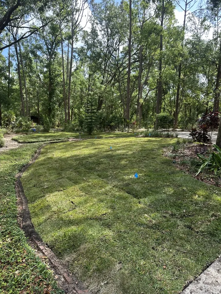 Custom lawn mowing service experts serving Zephyrhills, FL - Edgeline property maintenance