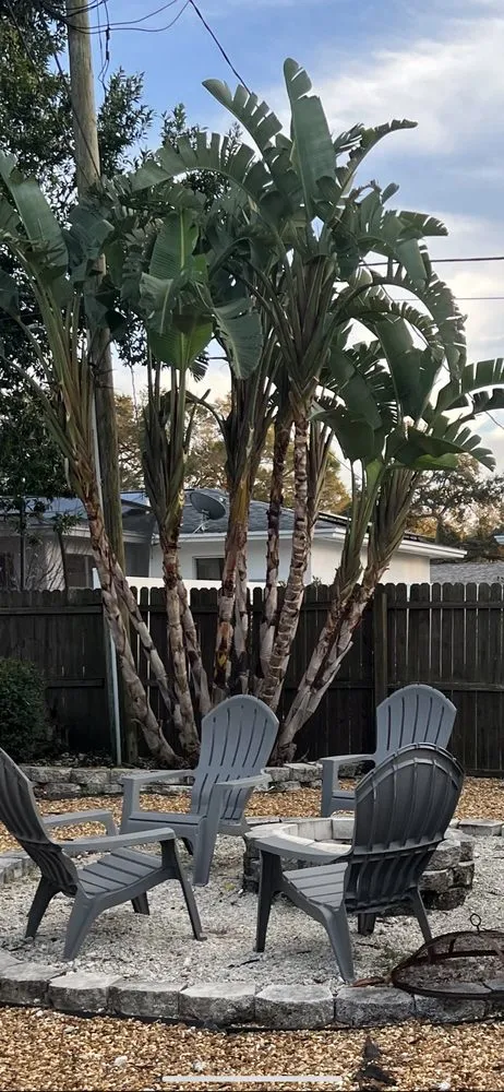 Trusted landscape design for beautiful yards across Dunedin, FL - Edgemasters Lawn Service