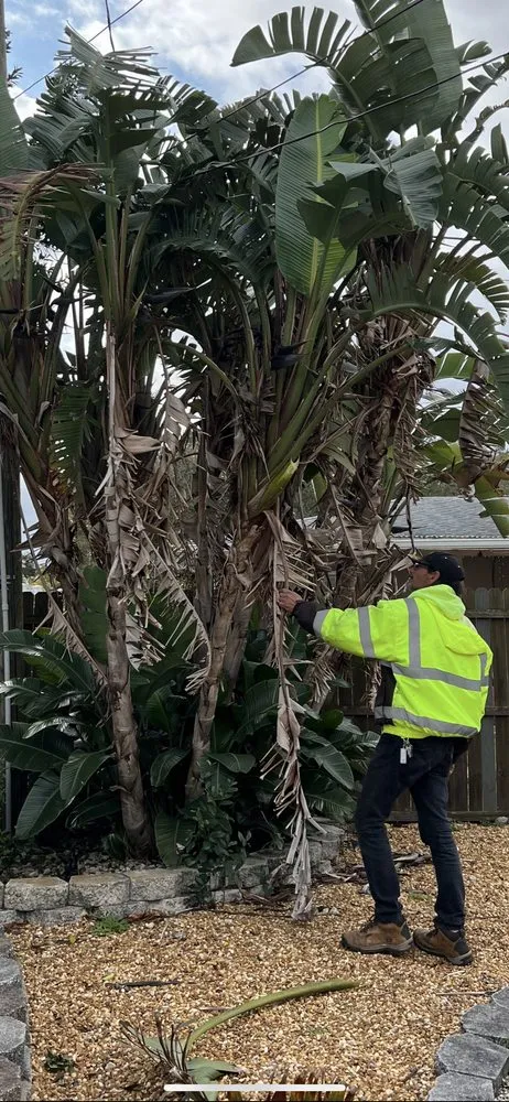 Top-rated lawn mowing service for year-round maintenance across Dunedin, FL - Edgemasters Lawn Service