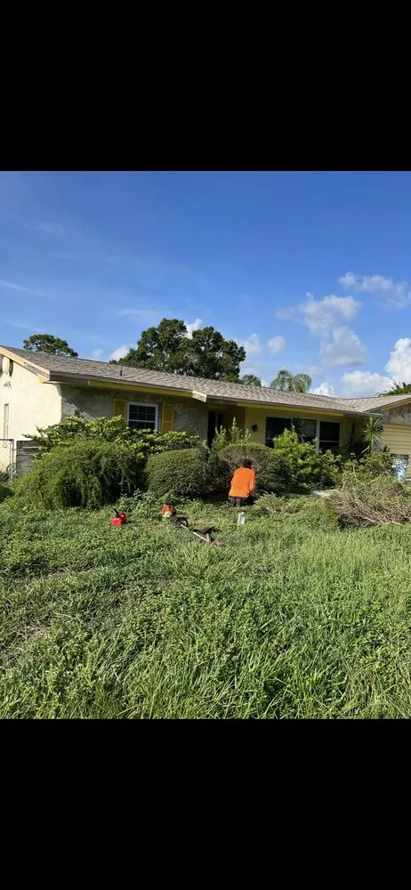 Local landscape design in Dunedin, FL - Edgemasters Lawn Service