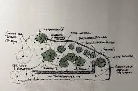 Local yard cleanup service experts serving Asheville, NC - Edgens Buck Landscapes