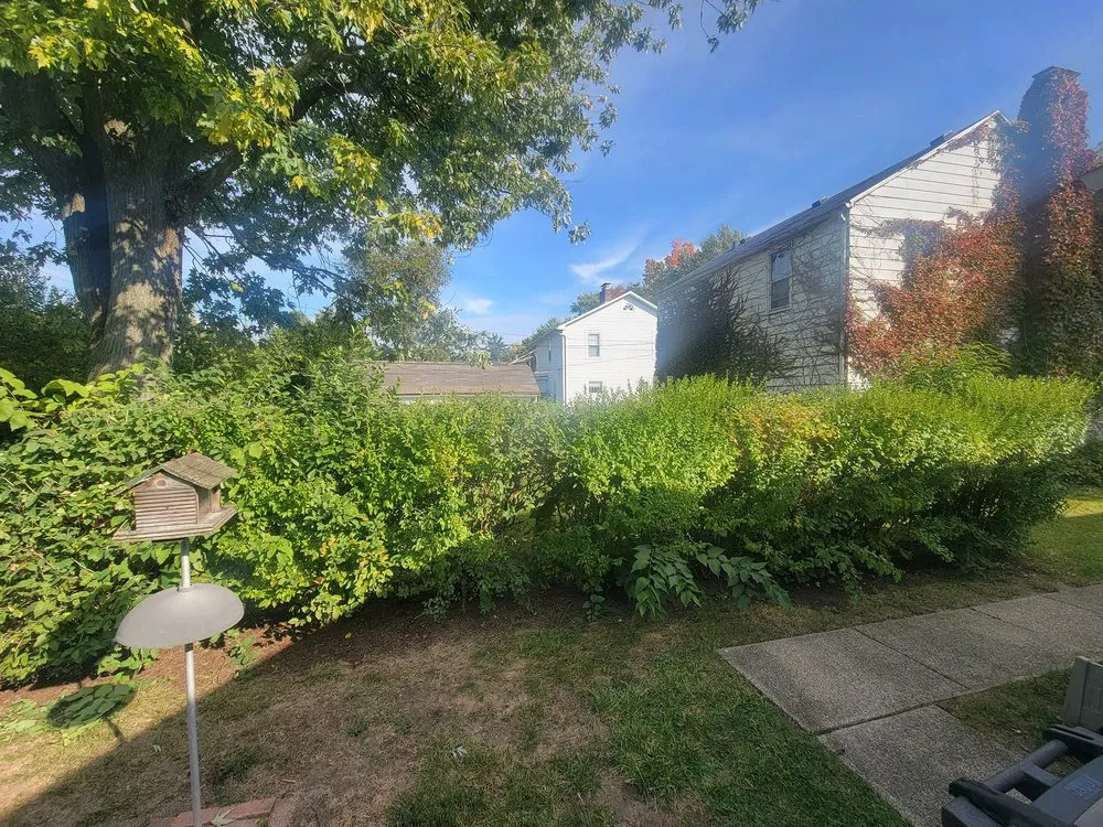 Professional garden landscaping experts serving Elkhart, IN - Edges Landscaping