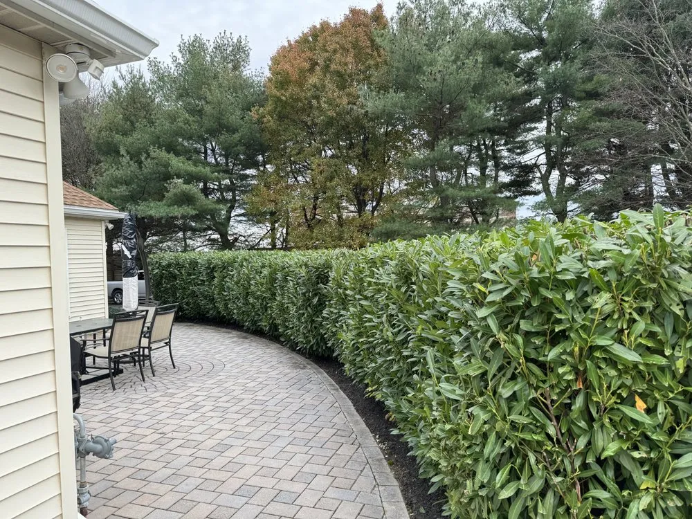 Local landscape design for homes across Freehold, NJ - EdgeScape Landscape & Design