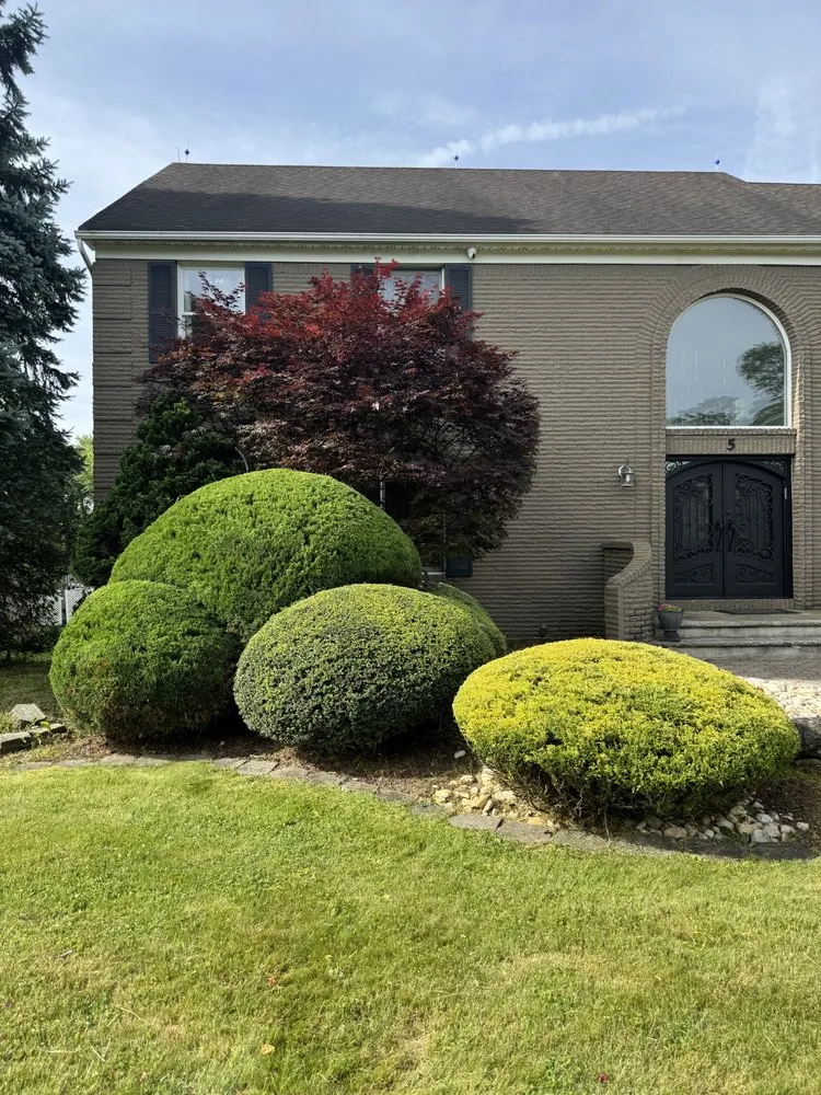 Local landscape installation with custom design across Freehold, NJ - EdgeScape Landscape & Design