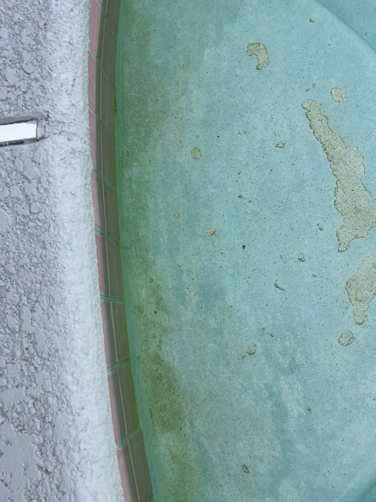 Top-rated landscaping services for beautiful yards in Las Vegas, NV by Edgewater Custom Pools and Landscaping