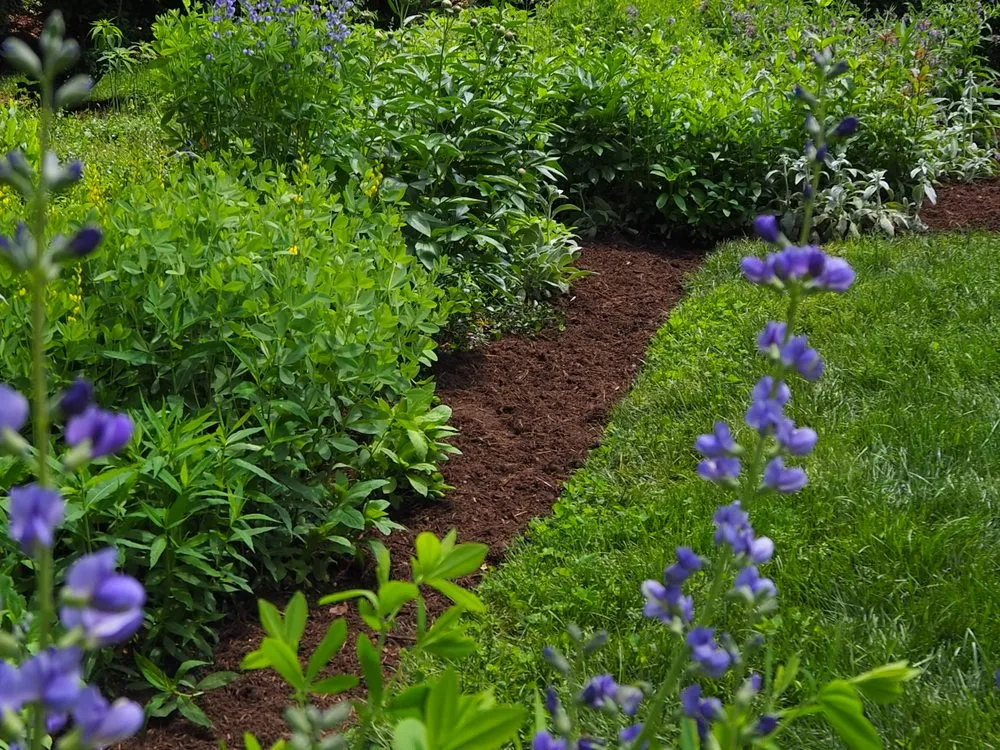 Professional residential landscaping for homes across Charlottesville, VA - Edgewood Gardens and Design