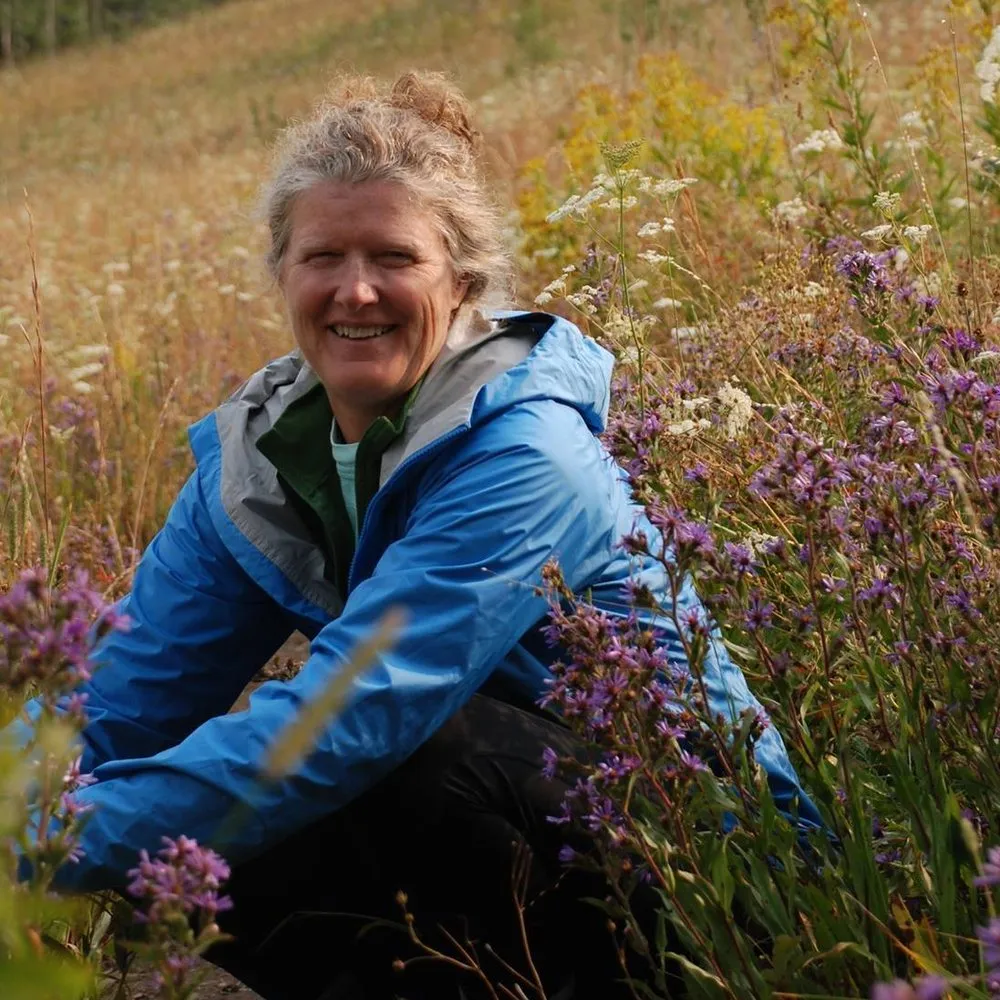 Trusted landscape design in Charlottesville, VA - Edgewood Gardens and Design