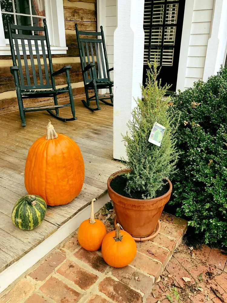 Professional lawn mowing service experts serving Charlottesville, VA - Edgewood Gardens and Design