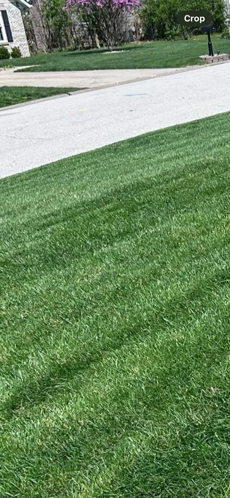 Custom yard cleanup service in Belleville, IL - Edgeworx Lawn Pros