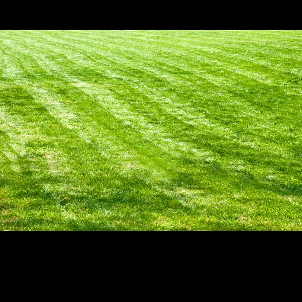 Trusted garden landscaping in Belleville, IL by Edgeworx Lawn Pros