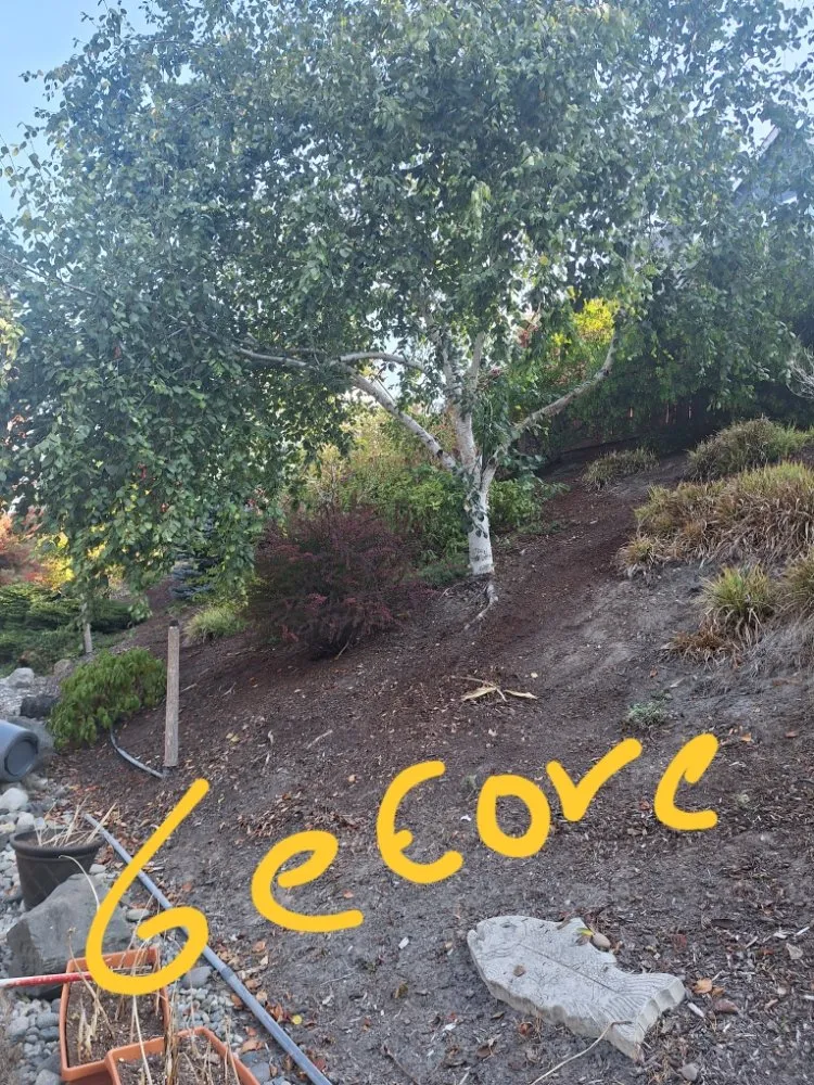 Reliable lawn mowing service experts serving Poulsbo, WA - Edi Arana Landscaping