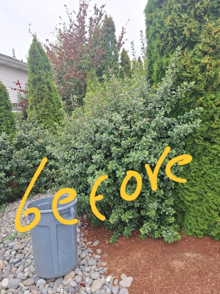 Custom lawn care service in Poulsbo, WA by Edi Arana Landscaping