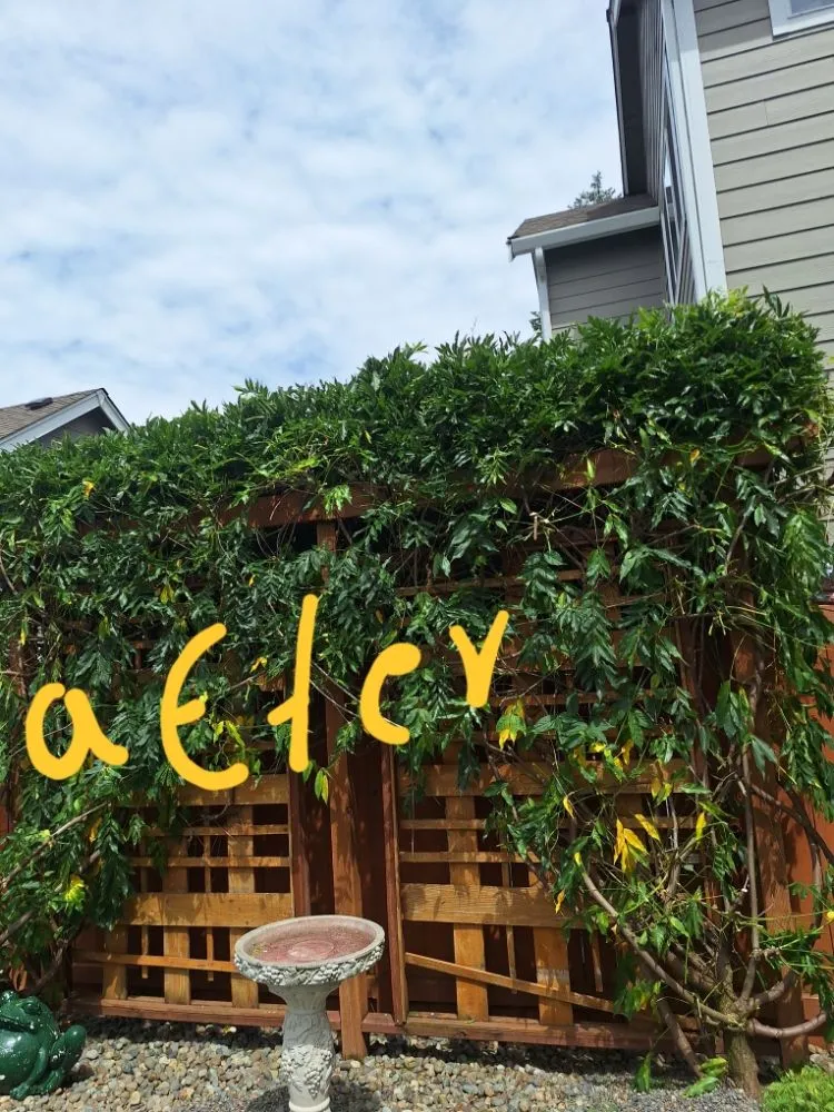 Custom garden landscaping for residential properties in Poulsbo, WA by Edi Arana Landscaping