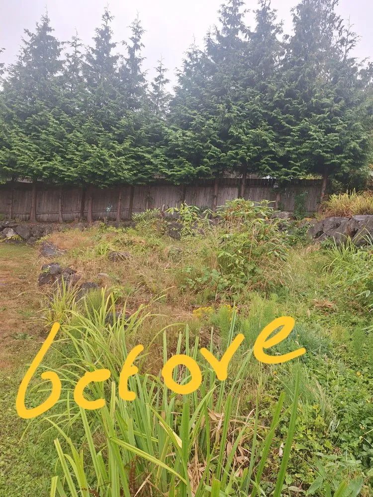 Reliable landscaping services in Poulsbo, WA - Edi Arana Landscaping