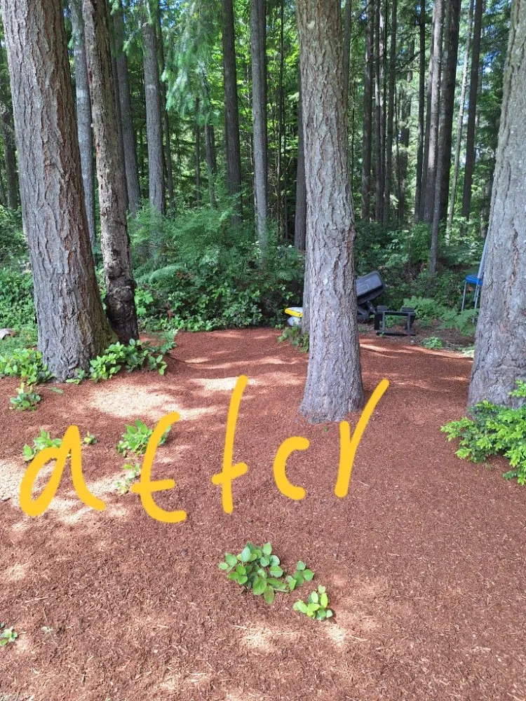 Custom lawn care service near you in Poulsbo, WA by Edi Arana Landscaping