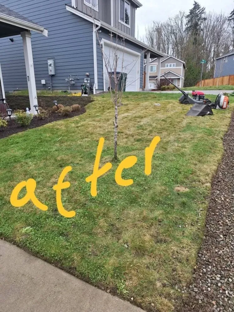 Custom landscaping services for year-round maintenance across Poulsbo, WA - Edi Arana Landscaping