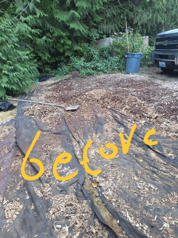 Professional landscaping services for homes in Poulsbo, WA by Edi Arana Landscaping