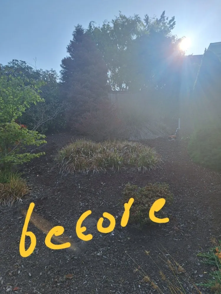 Reliable yard maintenance experts serving Poulsbo, WA - Edi Arana Landscaping